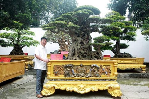 Sanh cổ mua 28 tỷ, sau một năm có khách trả gấp gần 4 lần