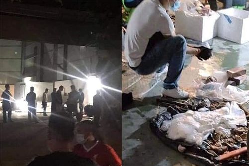Thu giữ khoảng 600kg nghi ma túy ở Hà Nội
