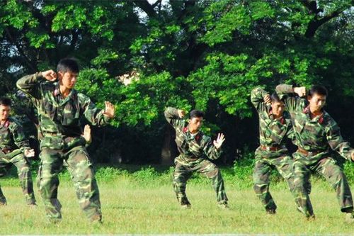 Một số quy định đối với quân nhân chuyên nghiệp