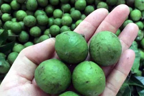 Sấu non đầu mùa, năm nay rẻ chưa từng có