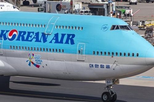 Đàn chim 'nhởn nhơ' trên đường băng Tân Sơn Nhất, máy bay không thể cất cánh