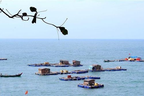 Đảo Hòn Chuối hoàn thành công tác bầu cử sớm bất kể mưa to, gió lớn