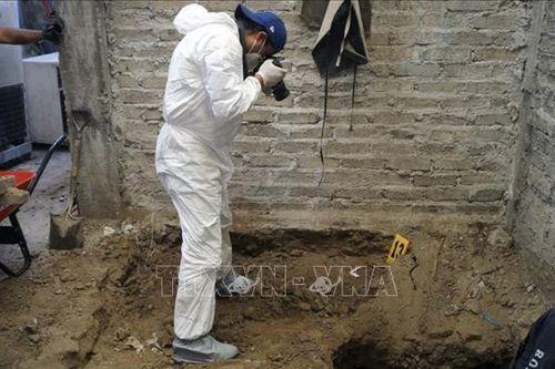 Mexico bắt giữ một nghi phạm giết người hàng loạt