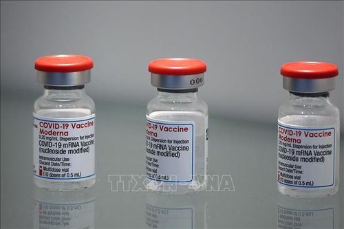 Hàn Quốc cấp phép sử dụng vaccine của Moderna