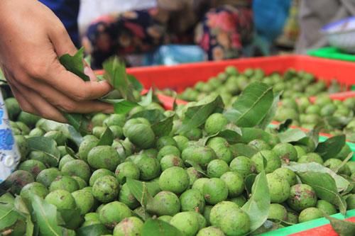 Công dụng chữa bệnh bất ngờ của quả sấu có thể bạn chưa biết