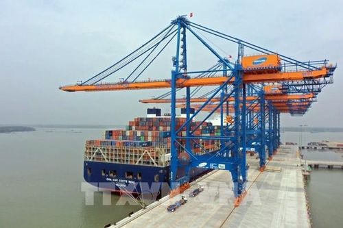 Đề xuất phạt nặng việc tự ý tăng giá, phụ thu dịch vụ vận tải biển