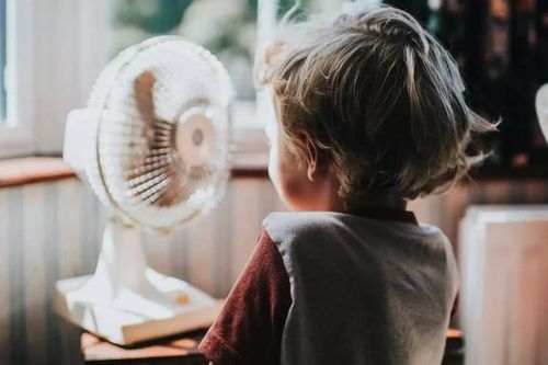 Nguy cơ tai biến do 4 sai lầm khi bật quạt mùa hè nhiều người mắc phải