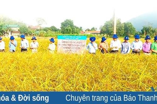 Hướng đến nền nông nghiệp Xanh
