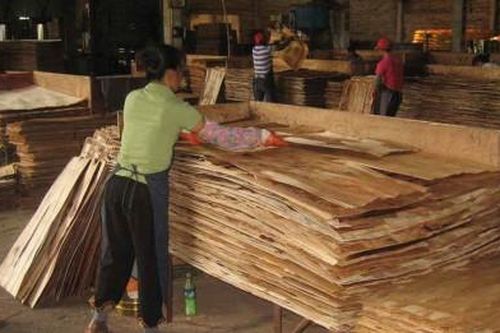 Viforest đề nghị kiểm soát nhập khẩu tủ bếp, tủ nhà tắm để ngăn gian lận xuất xứ