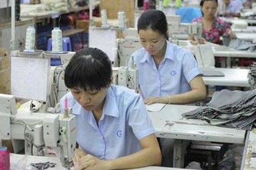 Kế hoạch phát hành thêm khiến cổ phiếu GIL lao dốc liên tục