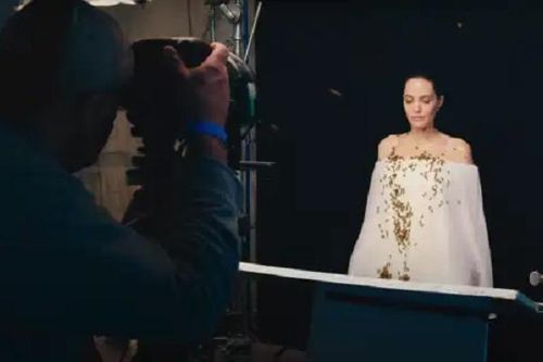Angelina Jolie không tắm 3 ngày để chụp ảnh bảo vệ loài ong