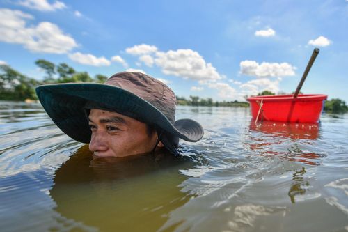 Bắt cá, cào ốc ở 'rừng ngập mặn' giữa TP Phan Thiết