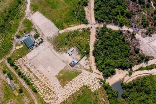 Quảng Bình: Dự án rộng gần 250 ha nuôi hơn… 20 con bò