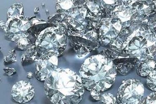 Cảnh sát Nga tìm thấy túi kim cương trị giá 2 triệu đô chôn trong rừng