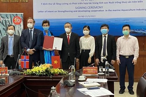 Na Uy chia sẻ kinh nghiệm trong ngành nuôi biển công nghiệp với Việt Nam