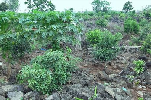 Kỳ thú vùng đất núi lửa