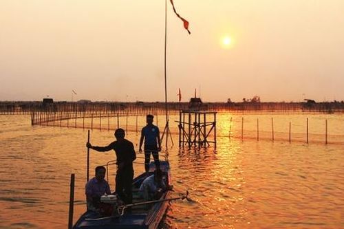 Bình yên đầm Chuồn