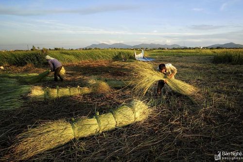 Những làng nghề vang bóng một thời ở xứ Nghệ