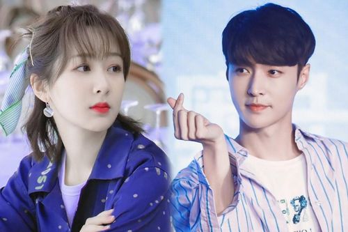 Dương Tử trả lời ra sao khi được hỏi Trương Nghệ Hưng có phải hình mẫu lý tưởng của mình?