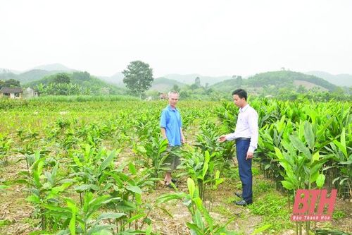 Huyện Như Thanh phát huy vai trò, trách nhiệm của bí thư chi bộ thôn, khu phố