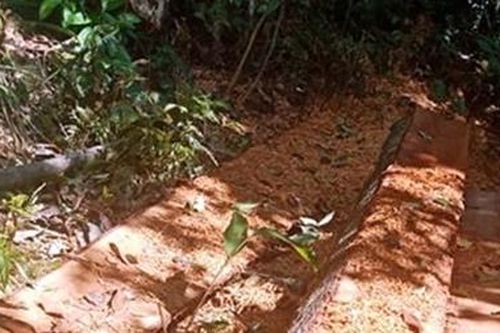 Rừng phòng hộ lưu vực sông Bến Hải tiếp tục bị chặt phá nghiêm trọng