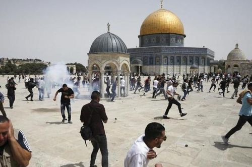 Hỗ trợ nhân đạo tại Dải Gaza khi Israel-Palestine bước sang ngày ngừng bắn thứ hai