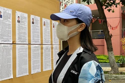 Sao Việt đi bầu cử