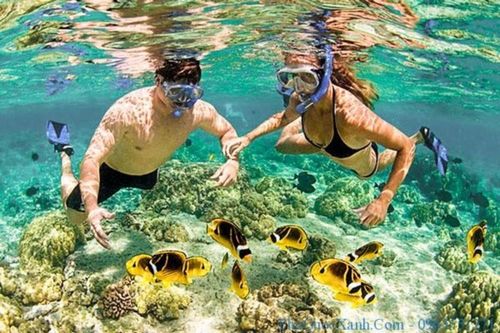 Lặn biển Nha Trang ngắm san hô