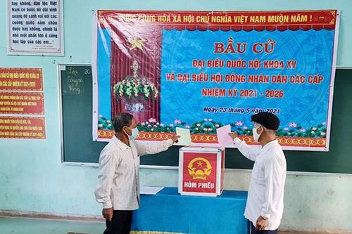 Những cử tri nhập quốc tịch lần đầu tiên đi bầu cử