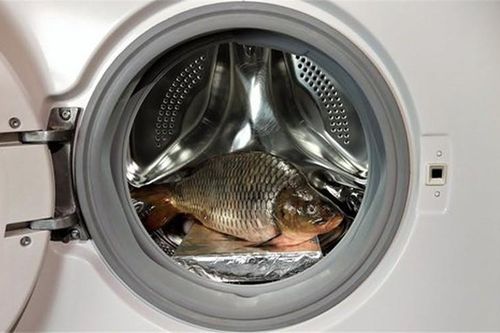Mẹo đánh vảy cá bằng máy giặt khiến các bà nội trợ tròn mắt