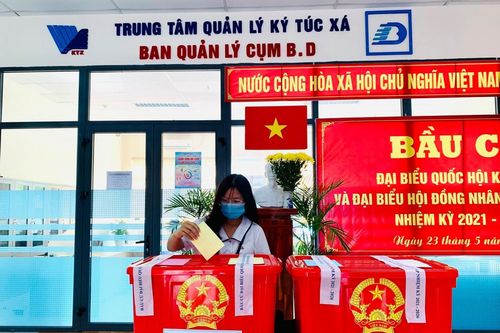 Sinh viên ĐHQG TPHCM: Háo hức xen lẫn bối rối khi bỏ phiếu bầu cử