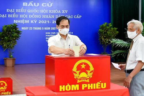 Bộ trưởng Ngoại giao Bùi Thanh Sơn tham gia bỏ phiếu bầu cử tại quận Nam Từ Liêm, Hà Nội