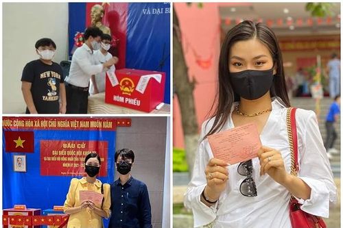 Tóc Tiên, Tiểu Vy… và dàn sao Việt nô nức đi bầu cử