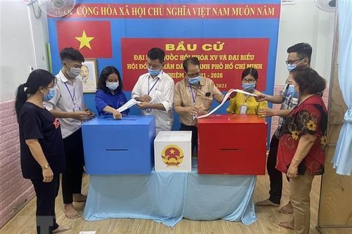 Bầu cử QH: Cử tri Thành phố Hồ Chí Minh đi bỏ phiếu đạt 99,38%
