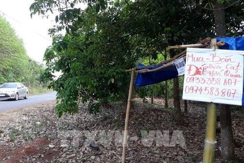 Sốt đất lắng dần, động thái của nhà đầu tư ra sao?