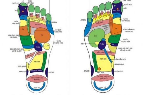 Xoa bóp bàn chân trị bệnh và nâng cao sức khỏe