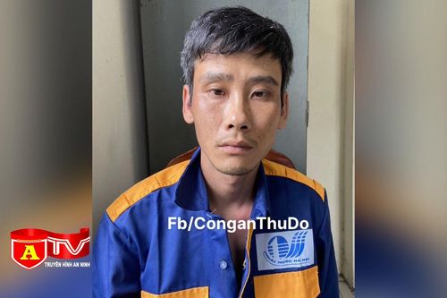 Bắt đối tượng gây ra hàng loạt vụ cướp giật tài sản