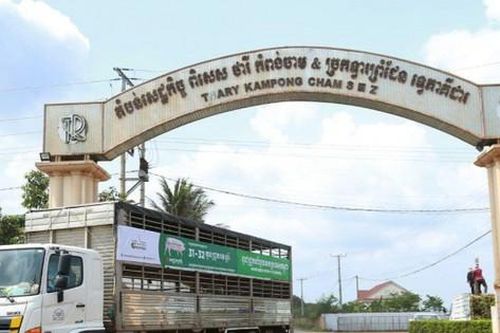Xuất khẩu heo sang Campuchia cần theo đường chính ngạch