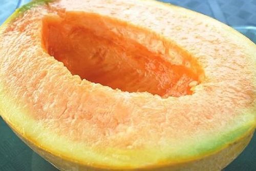 Cặp dưa lưới Nhật Bản bán giá... 572 triệu đồng