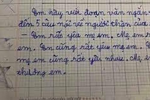 Đoạn văn của học sinh lớp 2 khiến ai nấy cười ngất vì '5 câu mà như 1'
