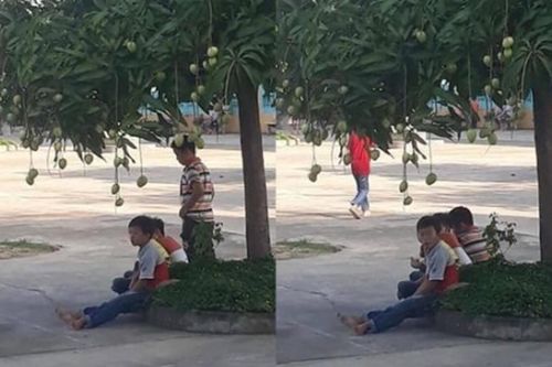 Nhìn các em nhỏ thờ ơ với cây xoài sai trĩu quả, dân mạng 'khó chịu ra mặt' vì lí do này