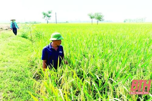 Hiệu quả từ những cơ chế, chính sách phát triển nông nghiệp