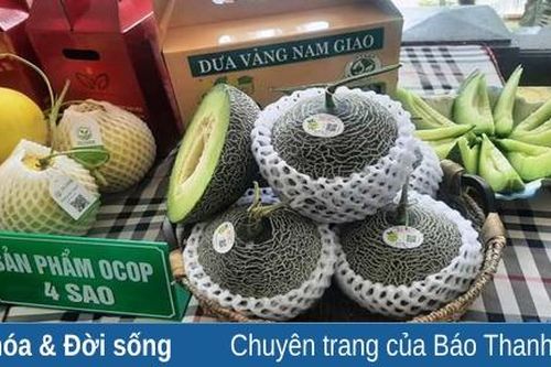 Xây dựng sản phẩm OCOP giúp nâng tầm thương hiệu nông sản địa phương