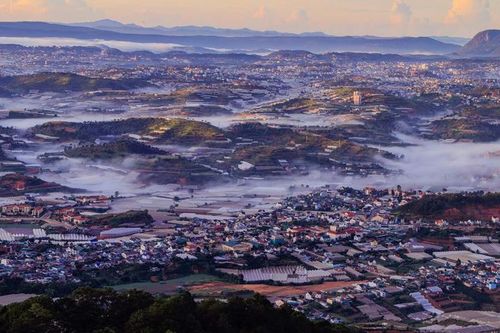 UBND tỉnh yêu cầu xử lý tình trạng xây dựng công trình, làm nhà kính, nhà lưới trên đất lâm nghiệp