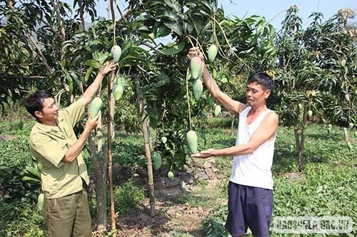 Tăng cường đào tạo nghề cho lao động nông thôn