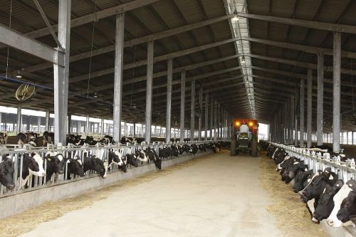 Đột phá từ tư duy vượt trội