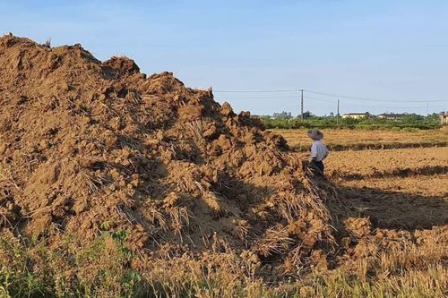 Thừa Thiên – Huế: Yêu cầu xử lý tình trạng cải tạo, khai thác, vận chuyển đất san lấp trái phép