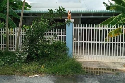 Vụ chó Pitbull cắn chết người: Chưa xác định được nhân thân nạn nhân