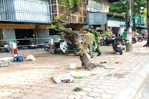 Trật tự đô thị thời Covid-19: Nhiều chuyển biến tích cực