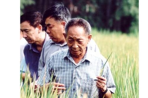Vĩnh biệt cha đẻ 'cây lúa cao hơn đầu người'